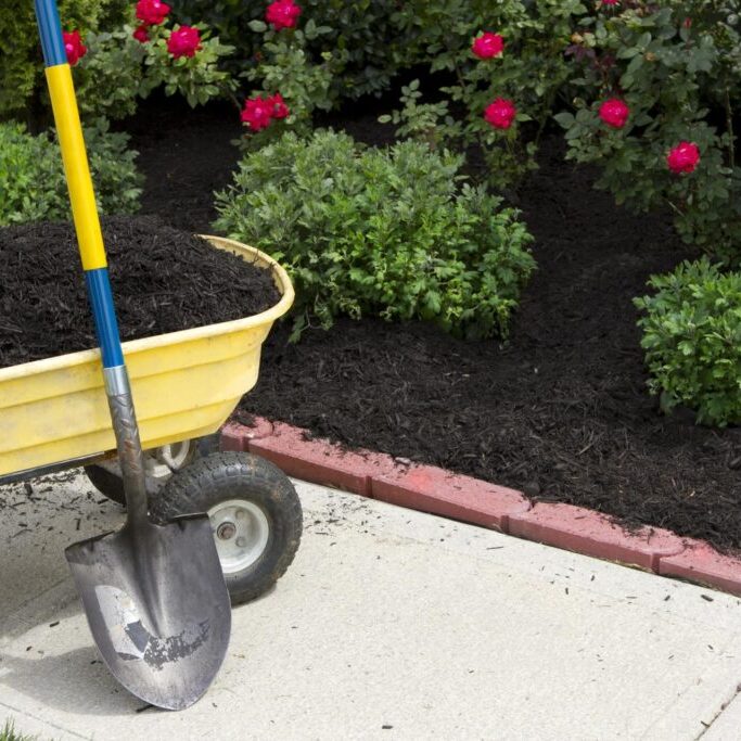 a fertilizer on the garden cart